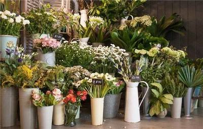 Nutsonly花店加盟 盈利前景、费用条件与经营指南