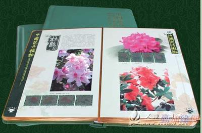 中国花卉植物邮票珍藏大系 文雅阁礼品网的正品销售指南